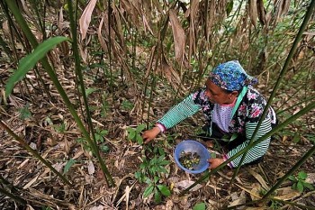 trao quyen cho phu nu va thuc day binh dang gioi de giam ngheo ben vung