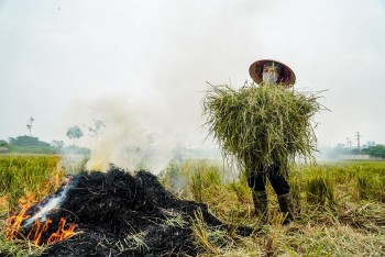 phu pham nong nghiep la nguon tai nguyen quy gia