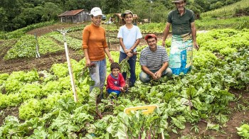 2,7 triệu nông dân Thái Lan tham gia chương trình giãn nợ