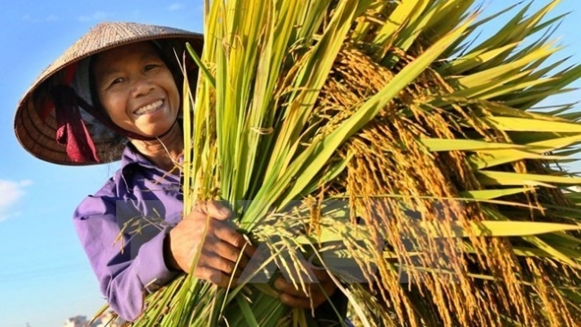 BfdW và Misereor: góp phần giảm trên 17 % tỷ lệ hộ nghèo xã Dân Chủ (Cao Bằng)