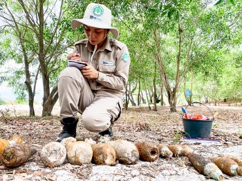 npa nang cao nang luc huy no bom min cho nhan vien quang tri