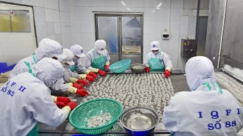 nang tam tom viet cung phat trien san pham ocop