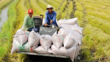 Việt Nam có thêm cơ hội xuất khẩu 600.000 tấn gạo sang Indonesia