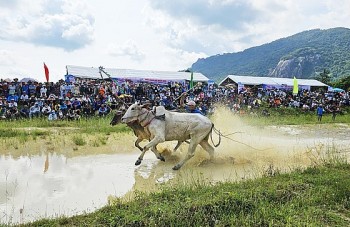 hoi dua bo bay nui cua dong bao dan toc khmer