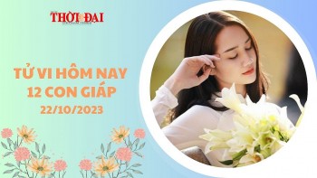 tu vi hom nay 12 con giap 22102023 tuoi suu vuong phai rac roi tuoi thin tai chinh gia tang