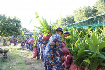 2000 cây dừa giống tặng cho huyện đảo Trường Sa