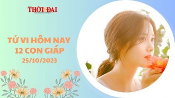 Tử vi hôm nay 12 con giáp 25/10/2023: Tỵ lên hương Dậu xuống dốc