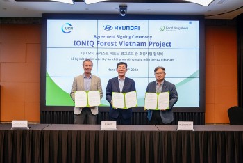 gni chung tay voi hmc va iucn de phuc hoi rung ngap man tai viet nam