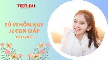 tu vi hom nay 12 con giap 1112023 dan duoc quy nhan che cho