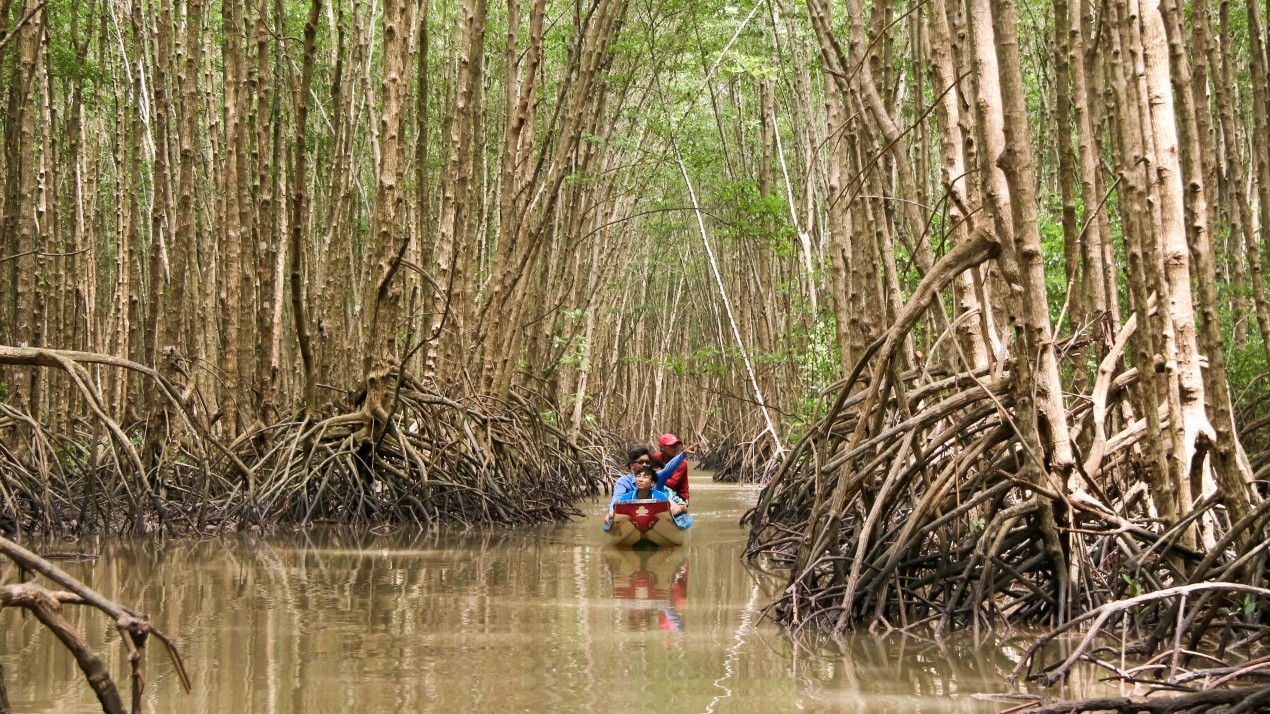 Đồng bằng sông Cửu Long: Sinh kế người dân tại các khu Ramsar được cải thiện