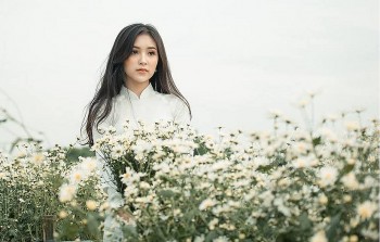 tu vi hom nay 12 cung hoang dao 8112023 cu giai cong viec nhu mot mo bong bong