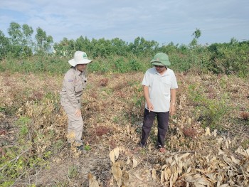 my trinh du luat cap ngan sach ra pha bom min tai viet nam