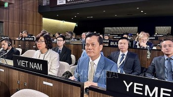 viet nam duoc bau lam pho chu tich dai hoi dong unesco lan thu 42