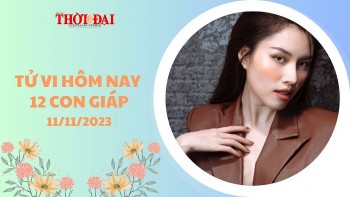 tu vi hom nay 12 con giap 11112023 ty vuong van dao hoa