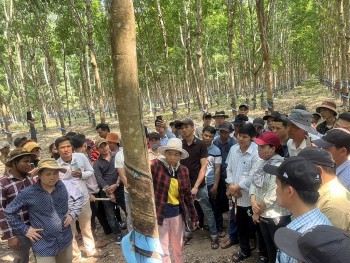 doanh nghiep gop phan phat trien tinh huu nghi viet nam campuchia