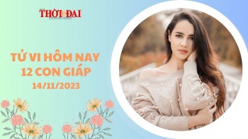 tu vi hom nay 12 con giap 14112023 mao nhan duoc co hoi tien xa trong cong viec