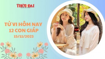 tu vi hom nay 12 con giap 15112023 ty hao tai ton cua dau dau vi tien bac