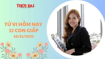 tu vi hom nay 12 con giap 16112023 ngo tai tinh chieu menh may man nhan doi