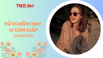 tu vi hom nay 12 con giap 17112023 than gap nhieu rac roi trong cong viec