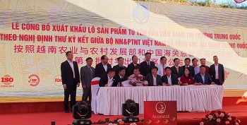 Việt Nam lần đầu tiên xuất khẩu tổ yến sang Trung Quốc