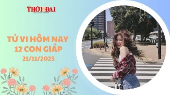 tu vi hom nay 12 con giap 21112023 hoi cong danh thang tien vuot bac