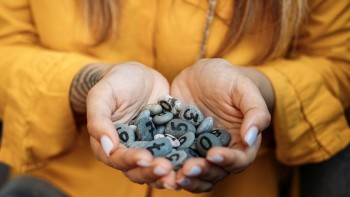 con so may man hom nay 21112023 12 con giap hoi mui thang tien