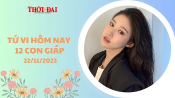 tu vi hom nay 12 con giap 22112023 ngo co co hoi thang tien cong danh