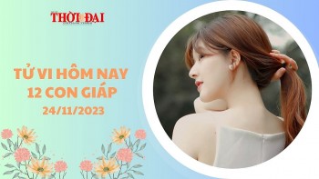 Tử vi hôm nay 12 con giáp 24/11/2023: Thần Tài chiếu mệnh Hợi tiền bạc gia tăng