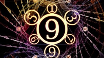 con so may man hom nay 25112023 12 con giap mui co thanh tai