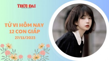 tu vi hom nay 12 con giap 27112023 ngo gap tai tinh tien bac rung rinh