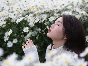 tu vi thang 122023 12 con giap thang cuoi nam suu mao tai chinh tang vuot bac