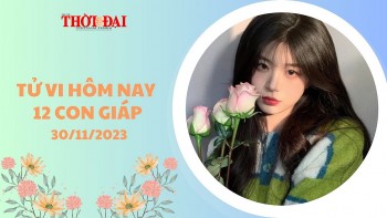 tu vi hom nay 12 con giap 30112023 ngo dai cat dai loi lam gi cung tot