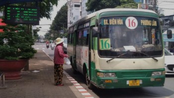 lo trinh lich trinh cac tuyen xe buyt tai dong nai moi nhat chi tiet nhat nam 2024