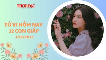 tu vi hom nay 12 con giap 1122023 mui phat tai ngay dau thang