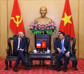 Việt Nam - Pháp thúc đẩy quá trình cải cách, chuyển đổi hành chính