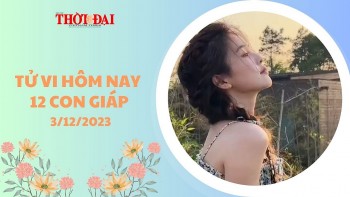 tu vi hom nay 12 con giap 3122023 ngo may man vuot bac
