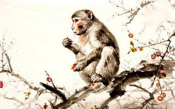 tu vi tuoi than nam 2024 thoi toi can khong kip tien bac doi ve nhu nuoc