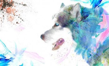 tu vi tuoi tuat nam 2024 day thang tram song gio