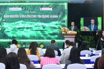 tang truong binh quan hon 23nam vi sao tin dung xanh moi dat khoang 44 tong du no toan nen kinh te