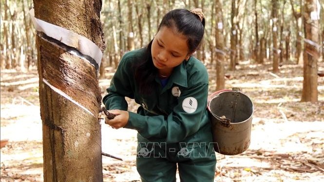 "Việt Nam-Lào cần tạo đột phá trong hợp tác kinh tế, thương mại, đầu tư"