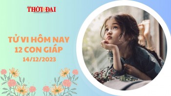 tu vi hom nay 14122023 12 con giap ty cong thuan loi thang chuc bat ngo