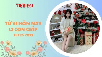 tu vi hom nay 12 con giap 15122023 ty gap duoc quy nhan than vo cung may man