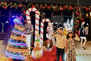 mua le hoi noel hoanh trang tren dai lo thuong mai tai long an