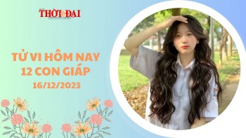 Tử vi hôm nay 12 con giáp 16/12/2023: Dần Ngọ đón tài lộc bất ngờ