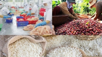 Senegal mong muốn doanh nghiệp Việt Nam đầu tư vào chế biến nông sản, dệt may