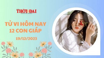 tu vi hom nay 12 con giap 19122023 mao ngo vuong ca tien tai lan tinh duyen