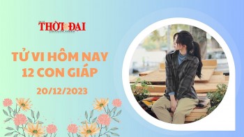 Tử vi hôm nay 12 con giáp 20/12/2023: Tý thuận lợi đến không ngờ