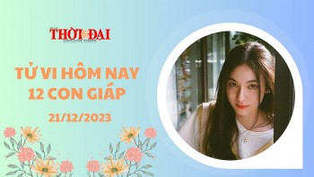 tu vi hom nay 12 con giap 21122023 mao vuong bat hoa ngo gap doi may man