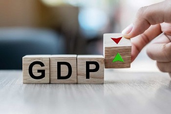 vndirect gdp ca nam 2024 du bao dat 63