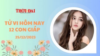 tu vi hom nay 12 con giap 25122023 ngo phat tai bat ngo